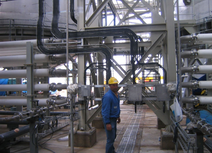 Biodiesel production plant and biomass production plant, Babilafuente, Salamanca (Spain, 2006)